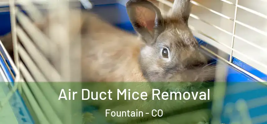 Air Duct Mice Removal Fountain - CO