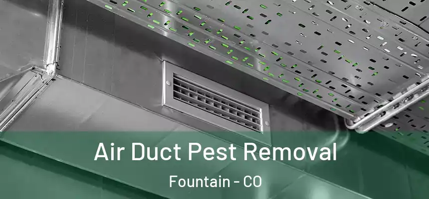 Air Duct Pest Removal Fountain - CO