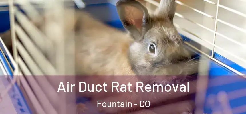 Air Duct Rat Removal Fountain - CO
