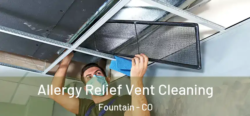 Allergy Relief Vent Cleaning Fountain - CO