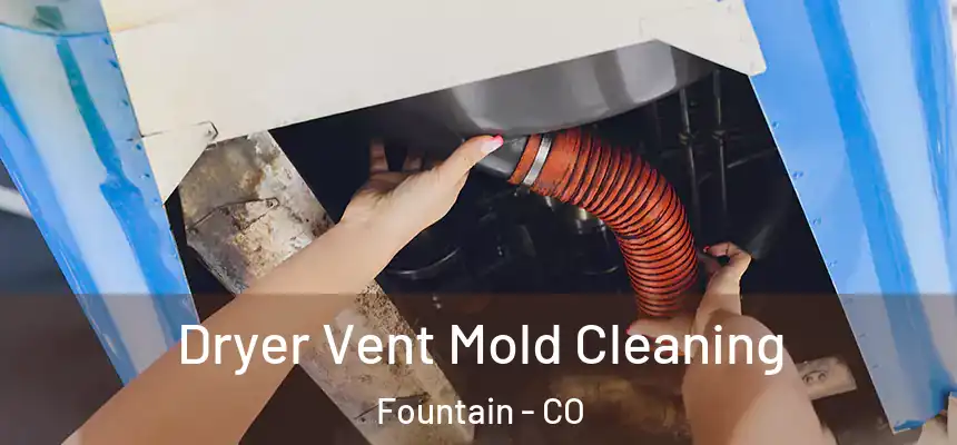  Dryer Vent Mold Cleaning Fountain - CO
