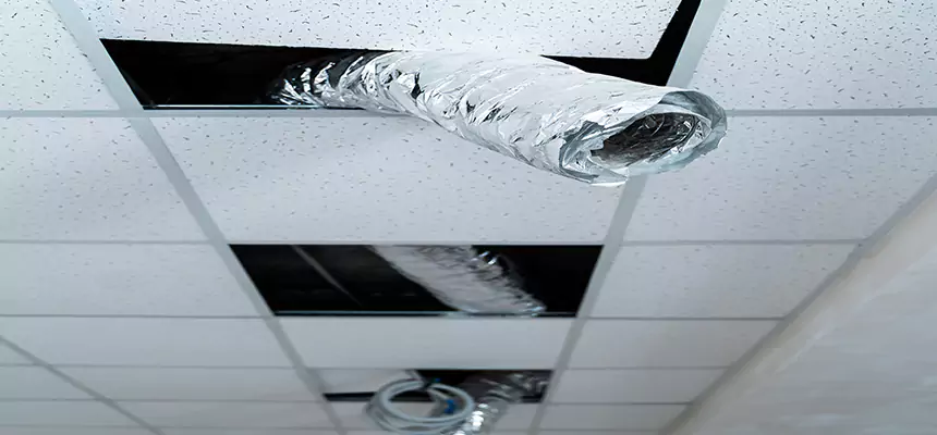 Affordable HVAC Sanitizing After Pest Removal in Fountain