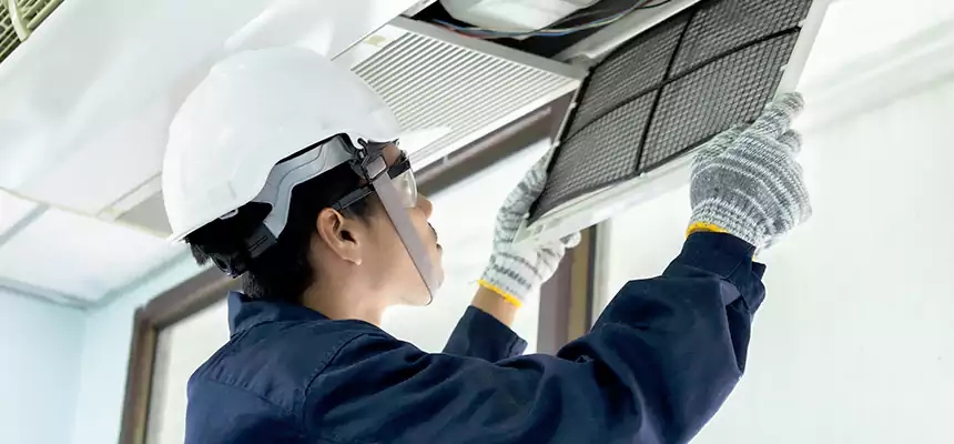 Our Mold & Mildew Removal from Air Ducts Services in Fountain, CO