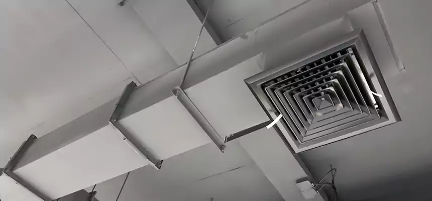 Our Rodent Droppings In Vents Services in Fountain, CO