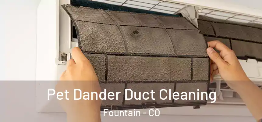 Pet Dander Duct Cleaning Fountain - CO