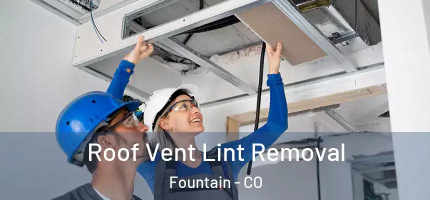 Roof Vent Lint Removal Fountain - CO