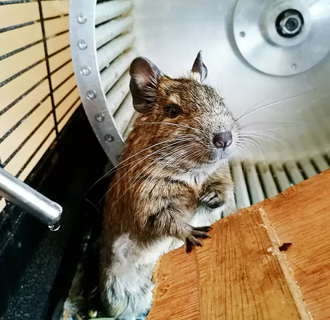 Why Homeowners & Businesses Trust Us Fountain, CO