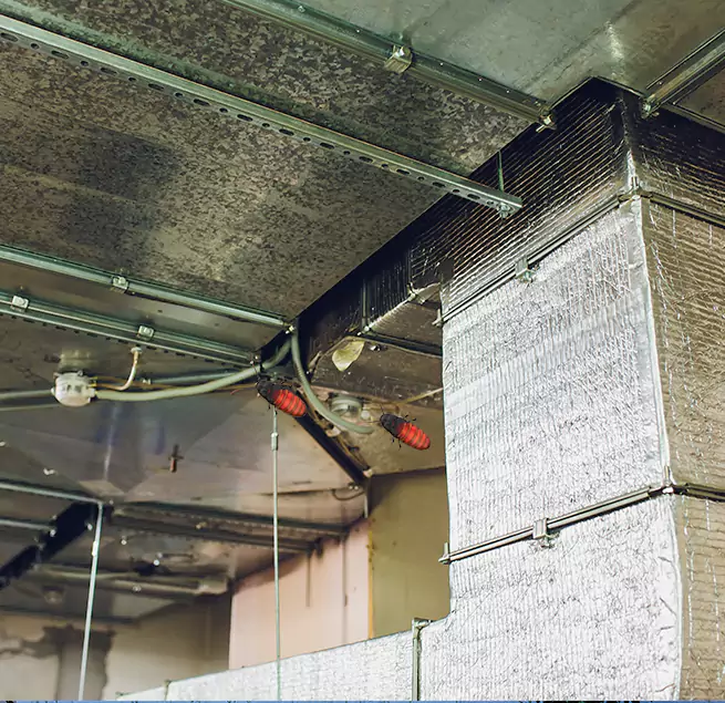 Why Homeowners & Businesses Trust Us Fountain, CO?