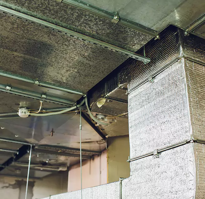 Why Homeowners & Businesses Trust Us in Fountain, CO?